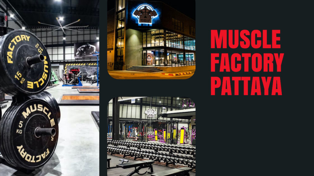 Pattaya Best Gyms - Muscle Factory